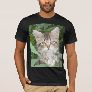 T-shirt Chaton tigré