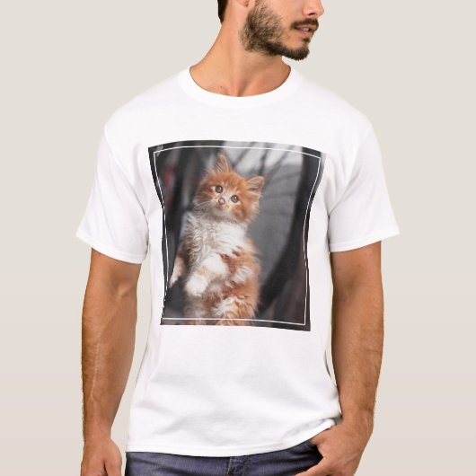 T-shirt Chaton tigré orange (Devant)