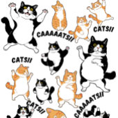 T-shirt Chats et CAAAATS ! !