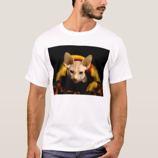 T-shirt chauve de chat de Sphynx