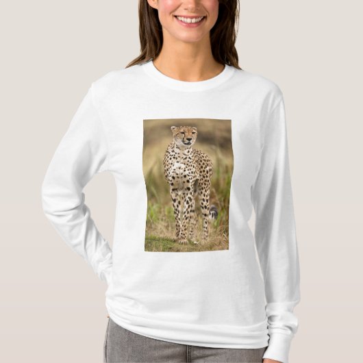 T-shirt Cheetah, Acinonyx jubatus, dans le Masai Mara (Devant)