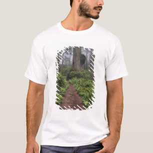 T-shirt Chemin à travers les séquoias géants enveloppés 2