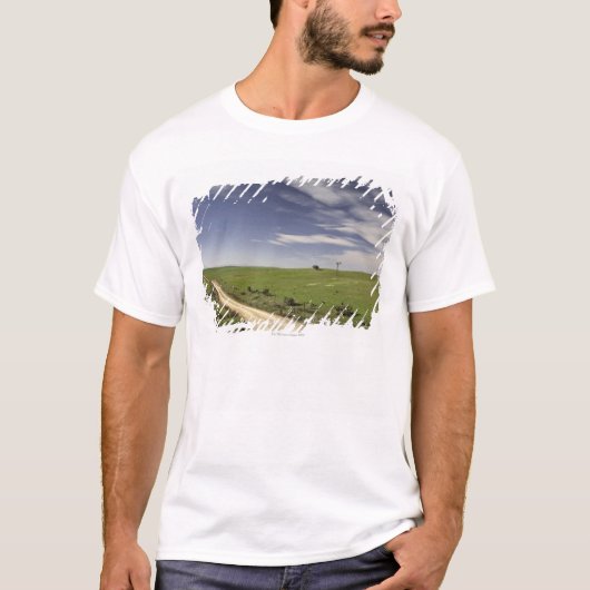 T-shirt Chemin d'exploitation tortillant entre les champs (Devant)