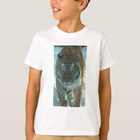 Chemise de égrappage d'enfants de tigre sibérien