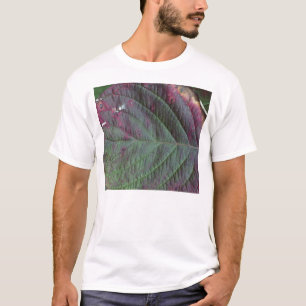 T-shirt chemise de feuille