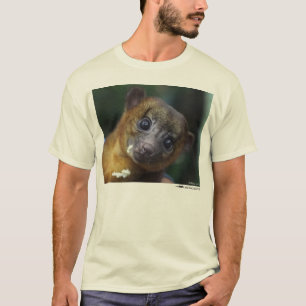 T-shirt Chemise de Kinkajou