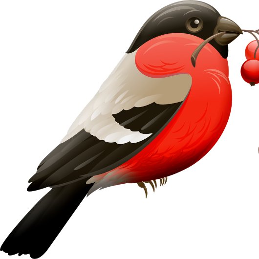 T-shirt Chemise d'été imprimée avec un oiseau en rouge, no