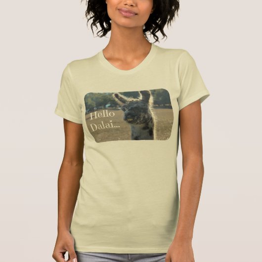 T-shirt Chemise drôle de lama, bonjour Dalai (LAMA de (Devant)