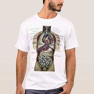 T-shirt Chemise française vintage d'anatomie