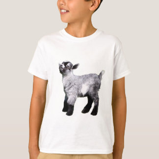T-shirt Chemise miniature de chèvre de Bably