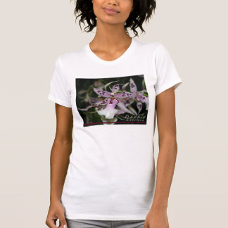 T-shirt Chemise Orchid Beallara