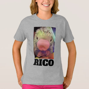 T-SHIRT CHEMISE RICO ZOO PORCUPINE