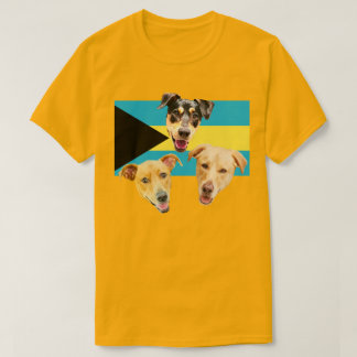 T-shirt Chemise Royal Bahamian Potcakes 2