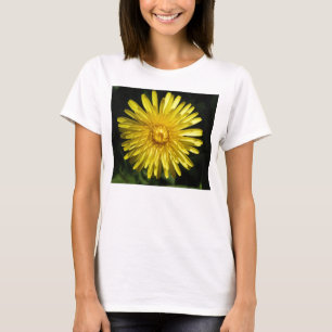 T-shirt Chemise T Dandelion