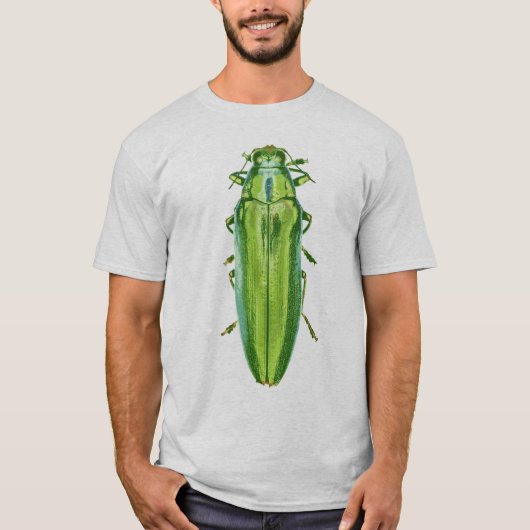 T-shirt Chemise verte de scarabée (Devant)