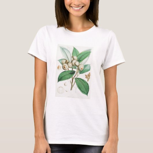 T-shirt Chêne vert (Devant)