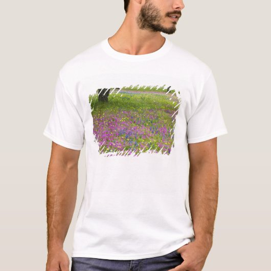 T-shirt Chênes avec champ de Phlox, Blue Bonnets (Devant)