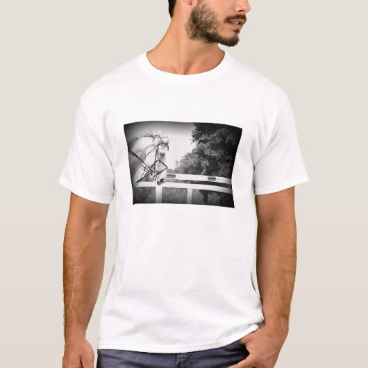 T-shirt Cheval anglais gris (Devant)