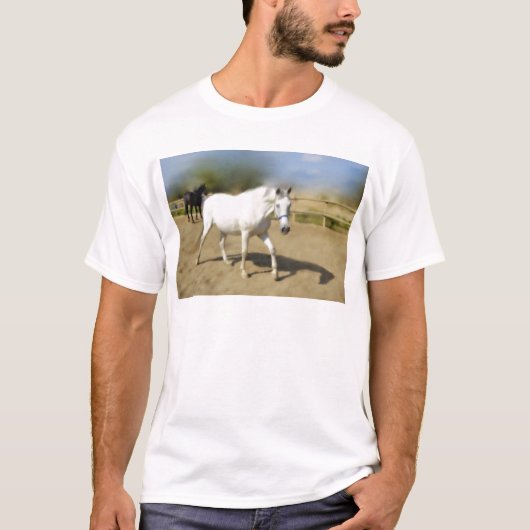 T-SHIRT CHEVAL BLANC PEINT (Devant)