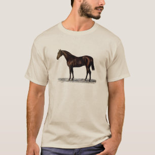 T-shirt Cheval Brown