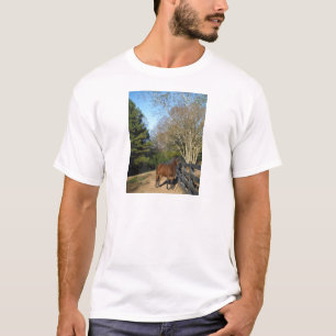 T-shirt Cheval brun contre une clôture