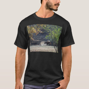 T-shirt Cheval Brun traversant une clôture