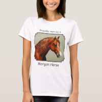 Cheval de châtaignes Morgan