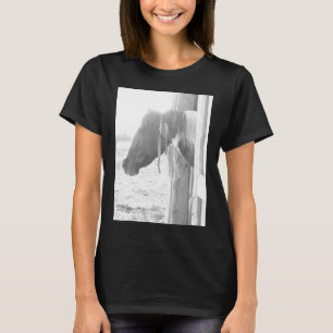 T-shirt Cheval de grange / Photographie noir et blanc