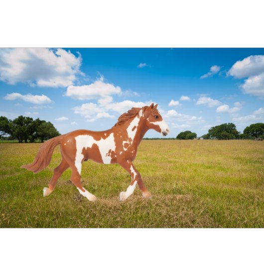 T-shirt Cheval de peinture américain