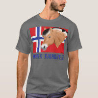 Cheval fjord avec drapeau norvégien, un ventilateu
