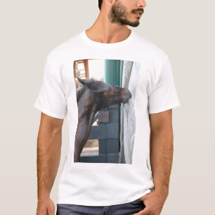 T-shirt Cheval/Humour à la pointe de Pony