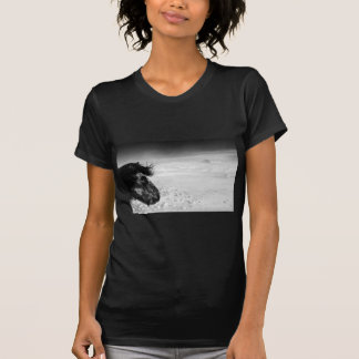 T-shirt Cheval islandais dans la région sauvage d'hiver