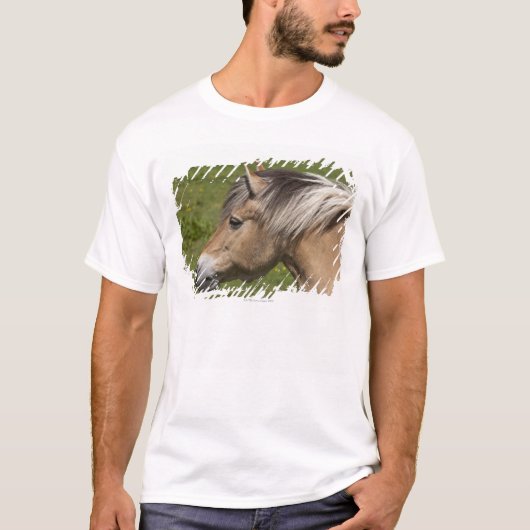 T-shirt Cheval norvégien de fjord (Devant)