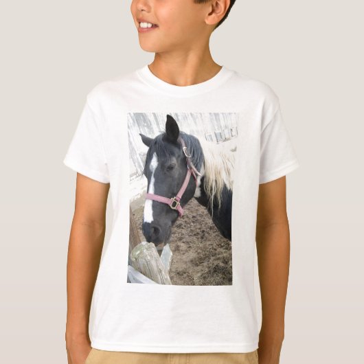 T-shirt Cheval Paint Pinto (Devant)
