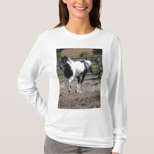 T-shirt Cheval/Paint Pinto