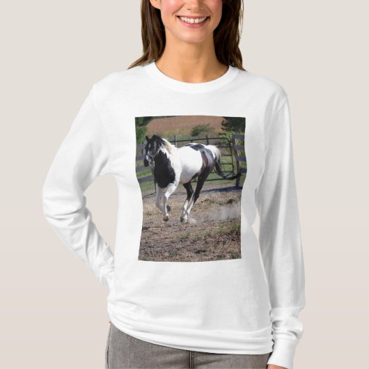 T-shirt Cheval/Paint Pinto (Devant)