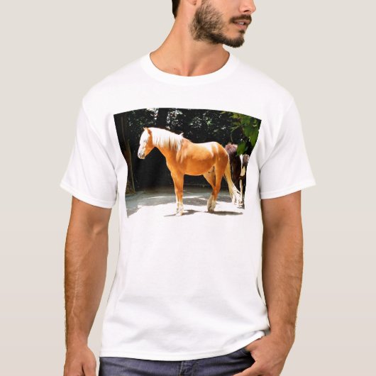T-shirt cheval Palomino (Devant)