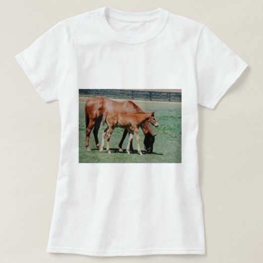 T-SHIRT CHEVAUX AMICAUX (Design devant)