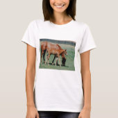 T-SHIRT CHEVAUX AMICAUX (Devant)