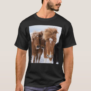 T-shirt Chevaux islandais se blottissent, Islande