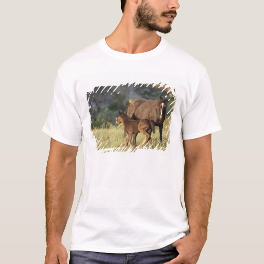 T-shirt Chevaux sauvages dans le parc national Theodore Ro (Devant)