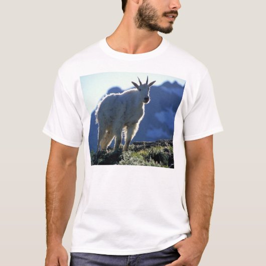 T-shirt Chèvre (Devant)