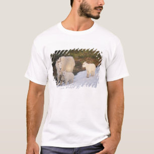 T-shirt chèvres des montagnes