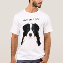 T-shirt chien bernois de montagne