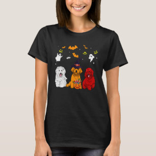 T-shirt Chien Bichon frisé