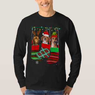 T-shirt Chien Dachshund Chaussettes de Noël Xmas Pyjama Pe