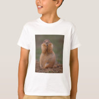 Chien de prairie