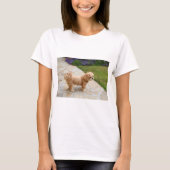 T-shirt Chien Lhasa Apso dans un jardin (Devant)