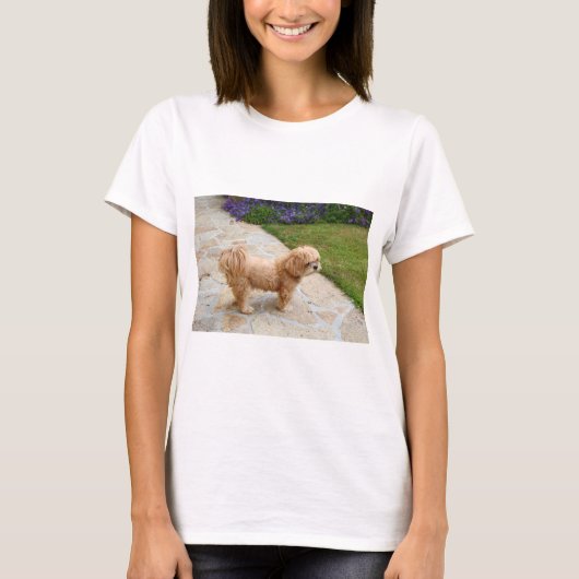 T-shirt Chien Lhasa Apso dans un jardin (Devant)