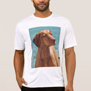 T-shirt Chien Magyar Vizsla